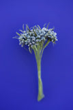 Μπουκετάκι λουλουδιών σε μπλε αποχρώσεις
