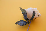 Υφασμάτινο τριαντάφυλλο για κατασκευές, γάμος και βάπτιση