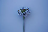 Γαλάζιο χάρτινο τριαντάφυλλο άνθος