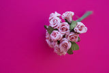 Ροζ χάρτινο τριαντάφυλλο άνθος