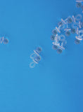 Πιπίλα plexiglass σε γαλάζιο χρώμα