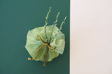 Μπομπονιέρα γάμου λαδί ιριδίζον πουγκί με πράσινα κλαδάκια