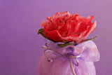 Μπομπονιέρα γάμου λιλά πουγκί με κόκκινο τριαντάφυλλο